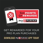 Purina Pro Plan Adult Large Breed High Protein Chicken   Rice Dry Dog Food