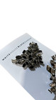 Whbm Shoe Clips Designer Black Silver Crystal Rhinestone Floral Wedding Luxury  