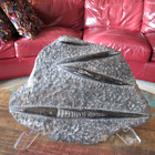 Large Orthoceras Squid Fossil Stone Slab 13 x9  Almost 8 Lbs