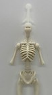 Monster High Howliday Dia De Muertos Skelita Calaveras Skeleton Nude Doll Body