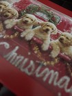 Merry Christmas Dog Cards Holiday Time