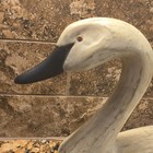 Decorative Beige cream Swan Bird Figurine decoy With Black Beak Ch 60581