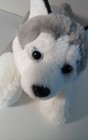 Fao Schwartz Husky wolf Stuffed Animal Plush