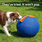 Large Dog Herding Ball With Protective Cover