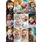 12 Pack Of Authentic Billy Bob Assorted Bpa Free Orthodontic Novelty Pacifiers