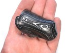 Dvh Black Fordite Crown Of Silver Sheen Polished Face Specimen  4837 
