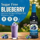 Syruvia Sugar Free Blueberry Syrup 25 4 Fl Oz  For Beverages  Desserts    More
