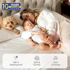 2-pack Twin Waterproof Mattress Protector - Breathable  Machine Washable  Soft