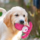 Squeaky Plush Dog Toy Set     5 Pack  Durable Chew