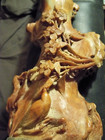 Chinese Stone Deeply Carved Carving Vase Branch Antique Tree Life Bird Stand