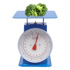 Industrial Dial Scale Heavy Duty Portion-control Mechanical Scale Dial Scale