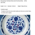 19th Centry Chinese Blue And White Porcelain Xianfeng Mark And Period Plate Dish