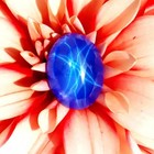 Certified 15 Ct Natural 6 Rays Blue Star Sapphire Oval Cabochon Loose Gemstone