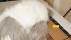  Dog Russ Caress Soft Pets Stuffed Animal Plush Toy White gray Fluffy Nwt