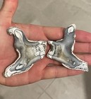 Rare Agatized Coral    butterfly    Coral Finger Geode Tampa Bay Corral Fossil