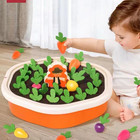 Baby Montessori Toys For Toddler Toys Educational Colorful Shape Toy Pull Carrot