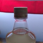 Starbucks Gingerbread Flavored Syrup 1l  33 8 Fl Oz  Best By Mar 2026