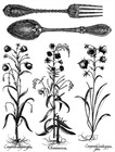 Iron Orchid Designs Iod Melange Rub On Transfer - 12 x16  - 8 Sheets New 