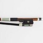 Master Black Hair Pernambuco Bass Bow Special Created Nickel Silver Mounted