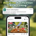 Smart Bird Feeder With Camera  2 4ghz Wifi Watching Camera Bird Feeders For 