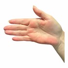 Germjuice   8 Oz Kit With 9 Led Flashlight  teaching Hand Washing  