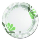 Dixie Sxp10pathpk Pathways 10-1 8  Paper Plates - Green burgundy  125 pk  New