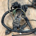 2007 Yamaha Grizzly 450 Main Wire Harness 1d9-82590-00-00 1d9-82590-10-00