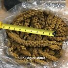 Millet Spray 25 Lbs  For Parrots Birds Nutrient Packed Fresh No Stems