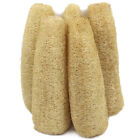 10 Pack Natural Loofah Sponges Organic Luffa Bath Shower Sponge Exfoliating Body