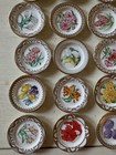 Franklin Mint Royal Dutch holland Flower Miniature Plates Set Of  24