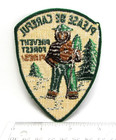 Vintage Smokey Bear Please Be Careful Prevent Forest Fires Patch Forestry Icon C