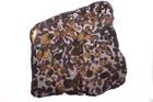 Sericho Pallasite Meteorite  Etched Full Slice Weight 78 3 Grams 5 Inch Usa