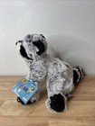 Webkinz Ganz Raccoon Hm143 Nwts Unopened Sealed Code