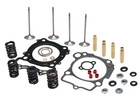 03-18 Suzuki Ltz400 Ltz 400 Kibblewhite Valves Springs Cylinder Head Service Kit