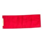 University Of Arkansas The Hill Pennant Flag Banner Vintage