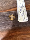Current Style Boy Scouts Bsa Scout Rank Pin - Larger Type