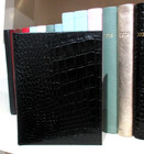 Brag Book Small 6  Photo Booklet Album 2 Clear 4x6  Pockets Graphic Image Black