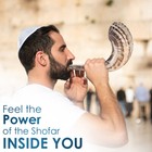 Halleluyah Kosher Shofar  12 - 14  Ram Horn   Made In Israel From Jerusalem