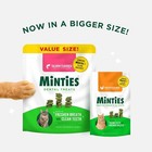 Cat Dental Treats  Chicken   Salmon Flavored  Freshens Breath  Controls Tartar -