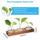 Small Plant Propagation Stations Glass Vase With Wooden Tray 3 Bulb Flower Vase