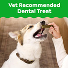 Veterinarian-recommended Adult Natural Dental Dog Treats Teenie Size  Dog Dental