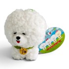 Amuse Mofu Mofu Bichon Dog Green Collar Plush Mascot Kawaii Japan Authentic
