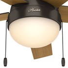 Hunter Fan 46 In Low Profile Premier Bronze Ceiling Fan Wth Light And Pull Chain