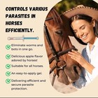 10 Pack New Paste Wormer Horse Dewormer Apple Flavor Us Free Shipping Exp01 2028