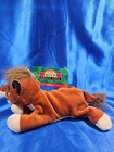 The Lion King Ii Kovu Bean Bag Plush Simbas Pride Vintage Toy Disney Store 8   
