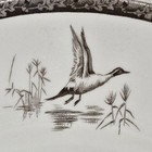 Marguerite Kirmse Am  Sporting Dog 10 75    Plate Wedgewood Irish W  Spaniel-mint