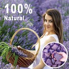 36 Pack French Dried Lavender Sachet Bags  100  Natural Lavender Bags For Dra   