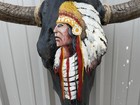 Steer Skull Painted 21 Inch Wide Bull Horn Cow Head Indian Chief In War Bonnet