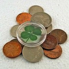 Genuine Four Leaf Clover Good Luck Charm Floating In A Pocket Token Ch-4l