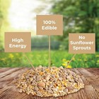Kaytee Wild Bird  no Mess Or Waste Free  Food Seed Blend For Blue Jays 